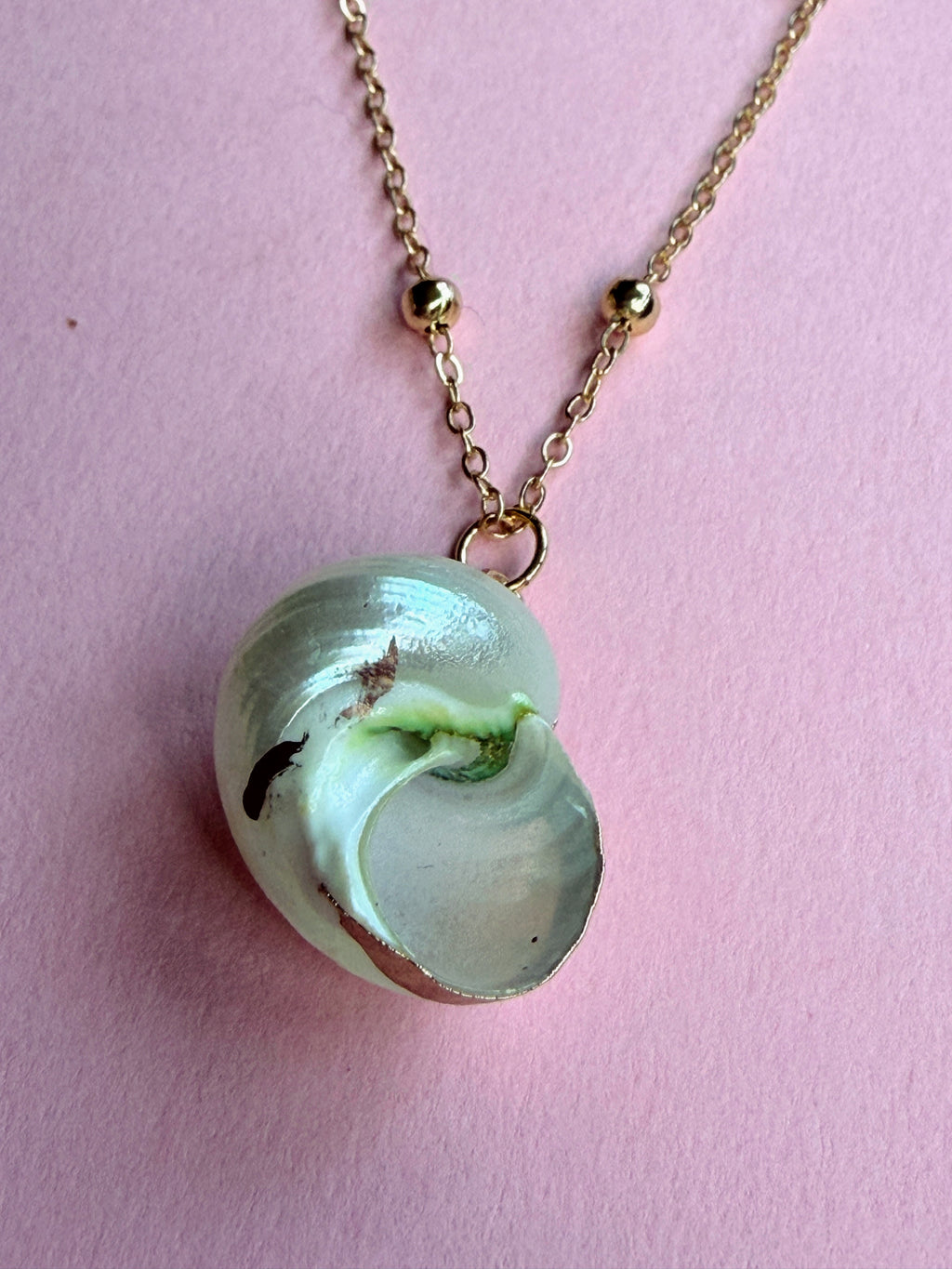 White Natural Seashell Necklace