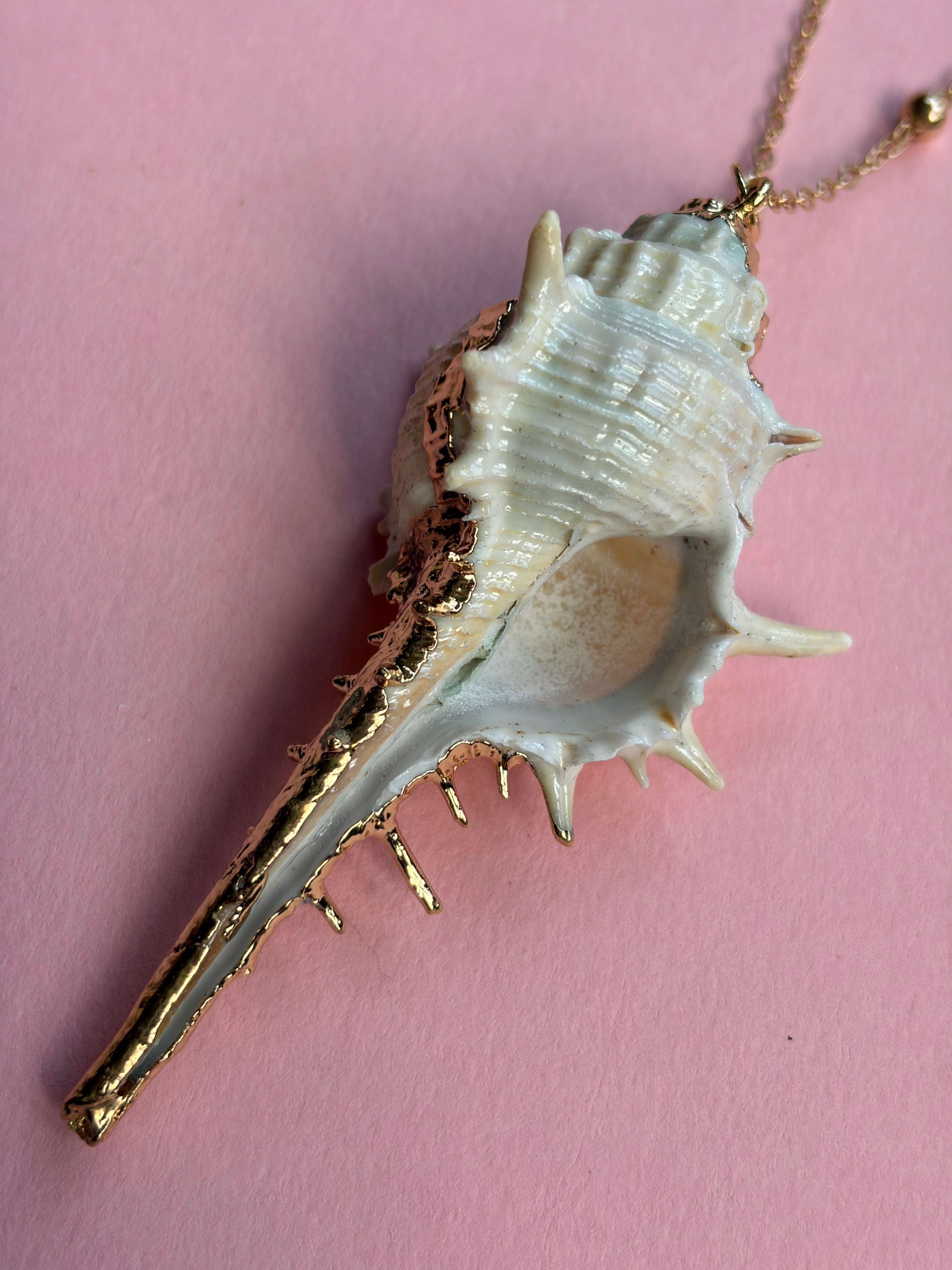 White Natural Seashell Necklace