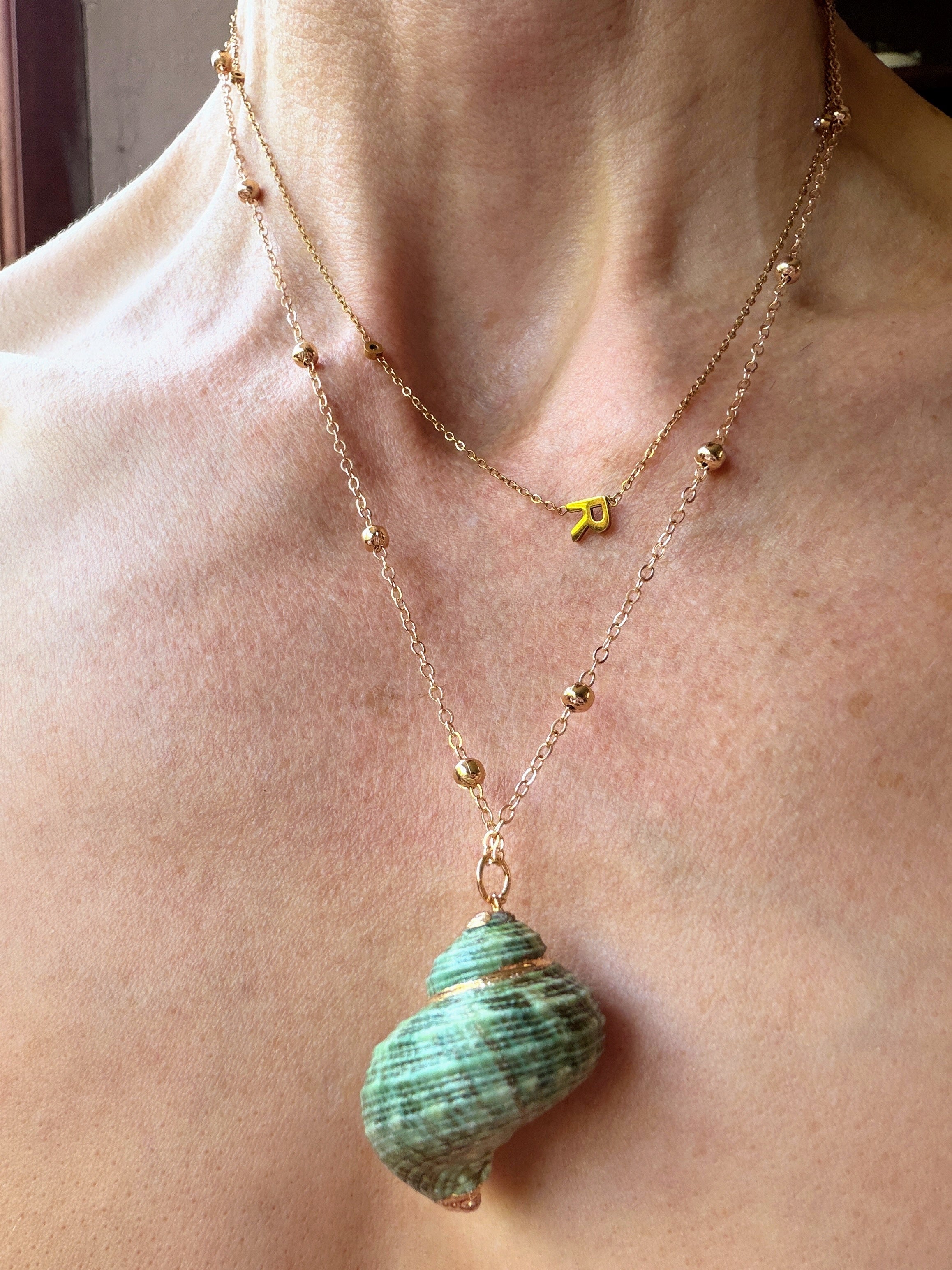 Green Ocean Treasure Seashell Necklace