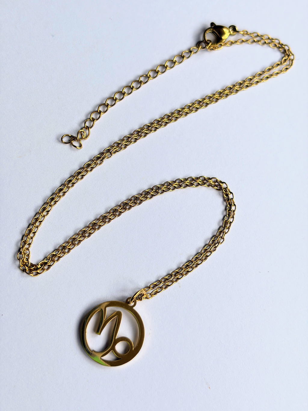 Capricorn Star Sign Necklace
