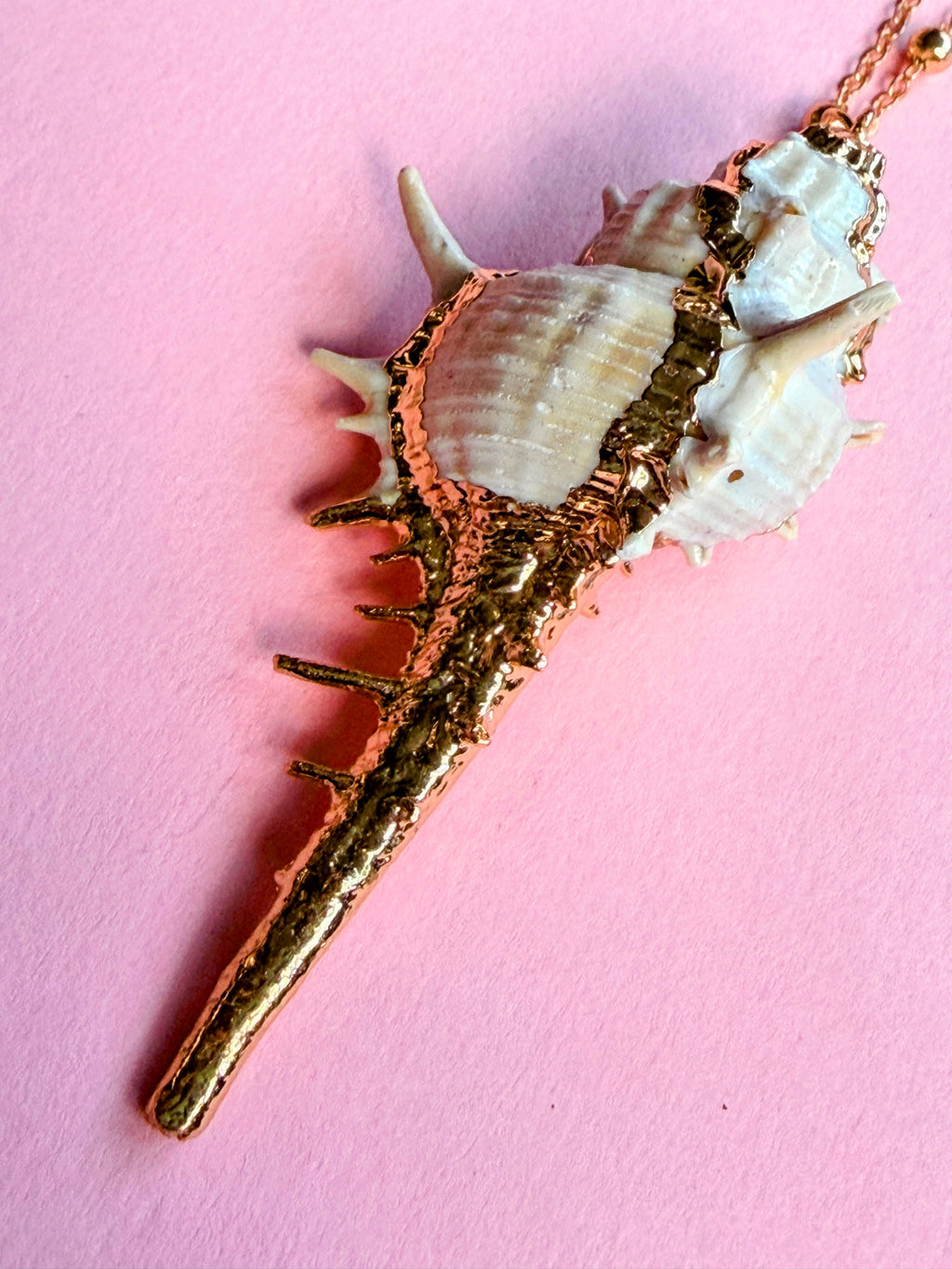 White Natural Seashell Necklace