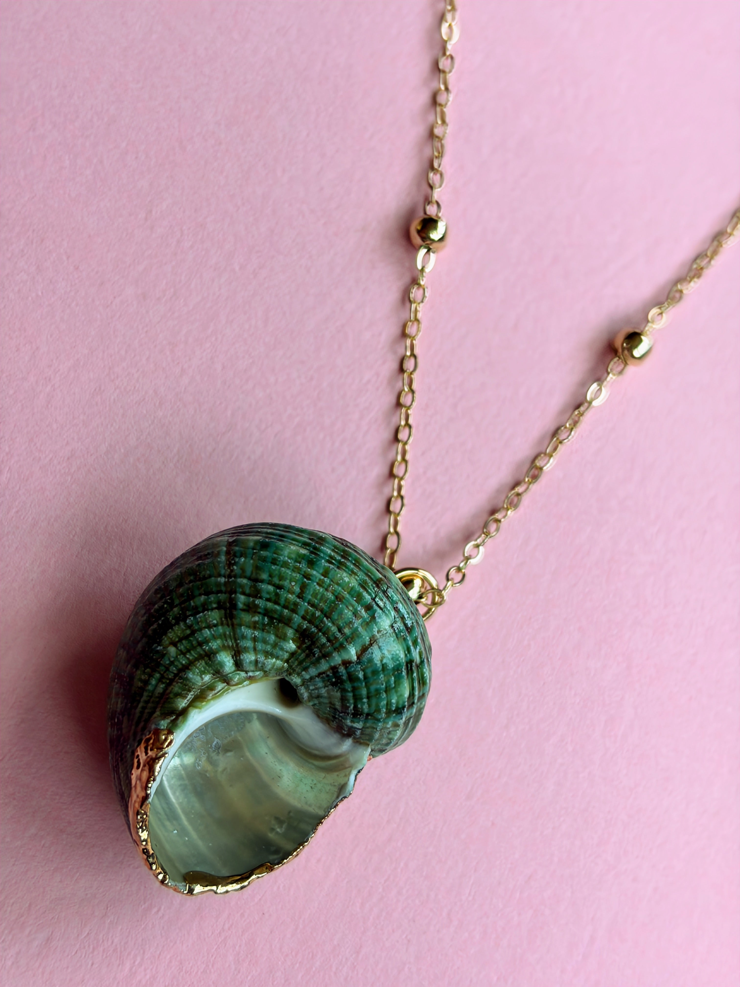 Green Ocean Treasure Seashell Necklace