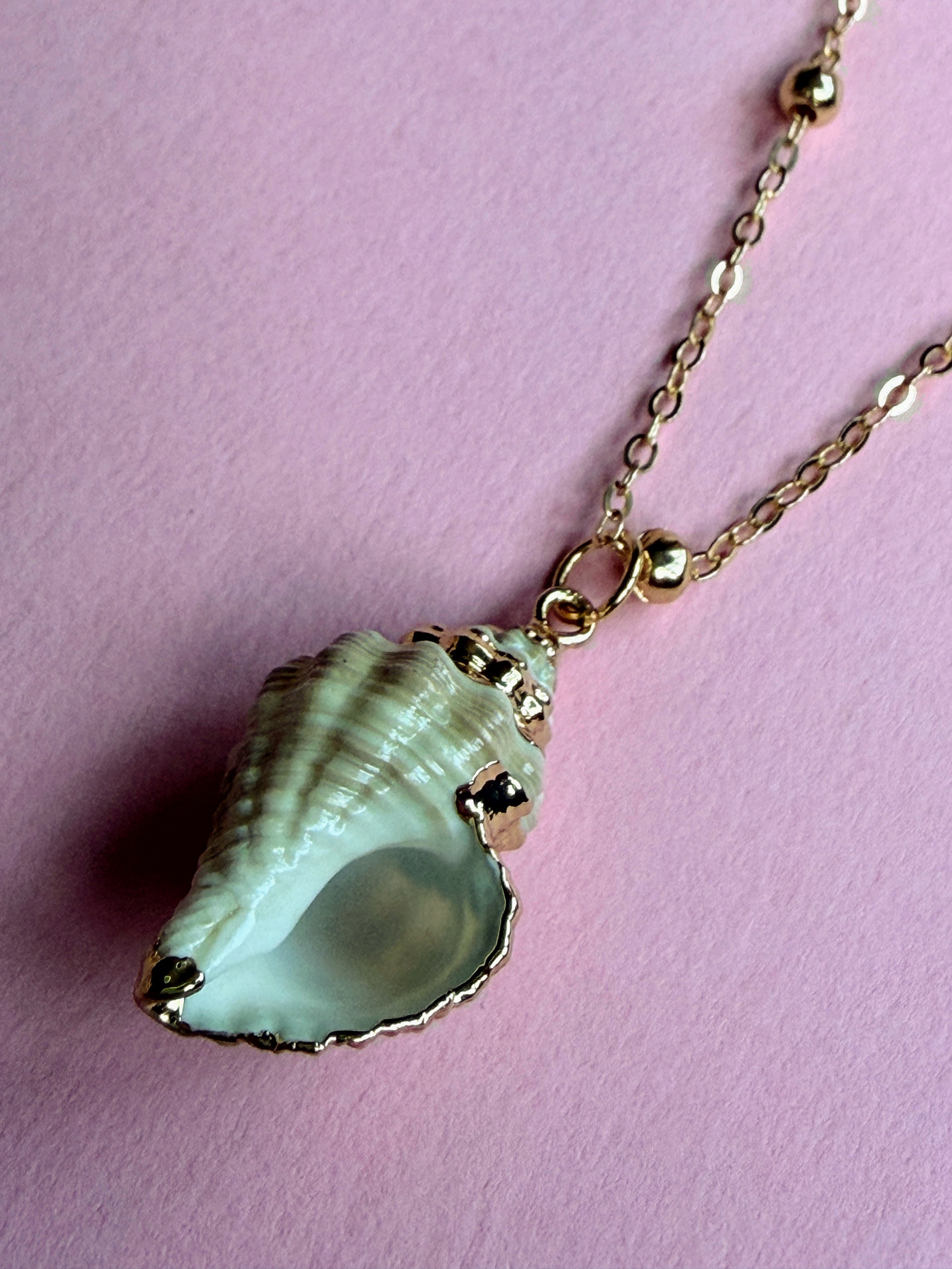 Natural Shell Necklace