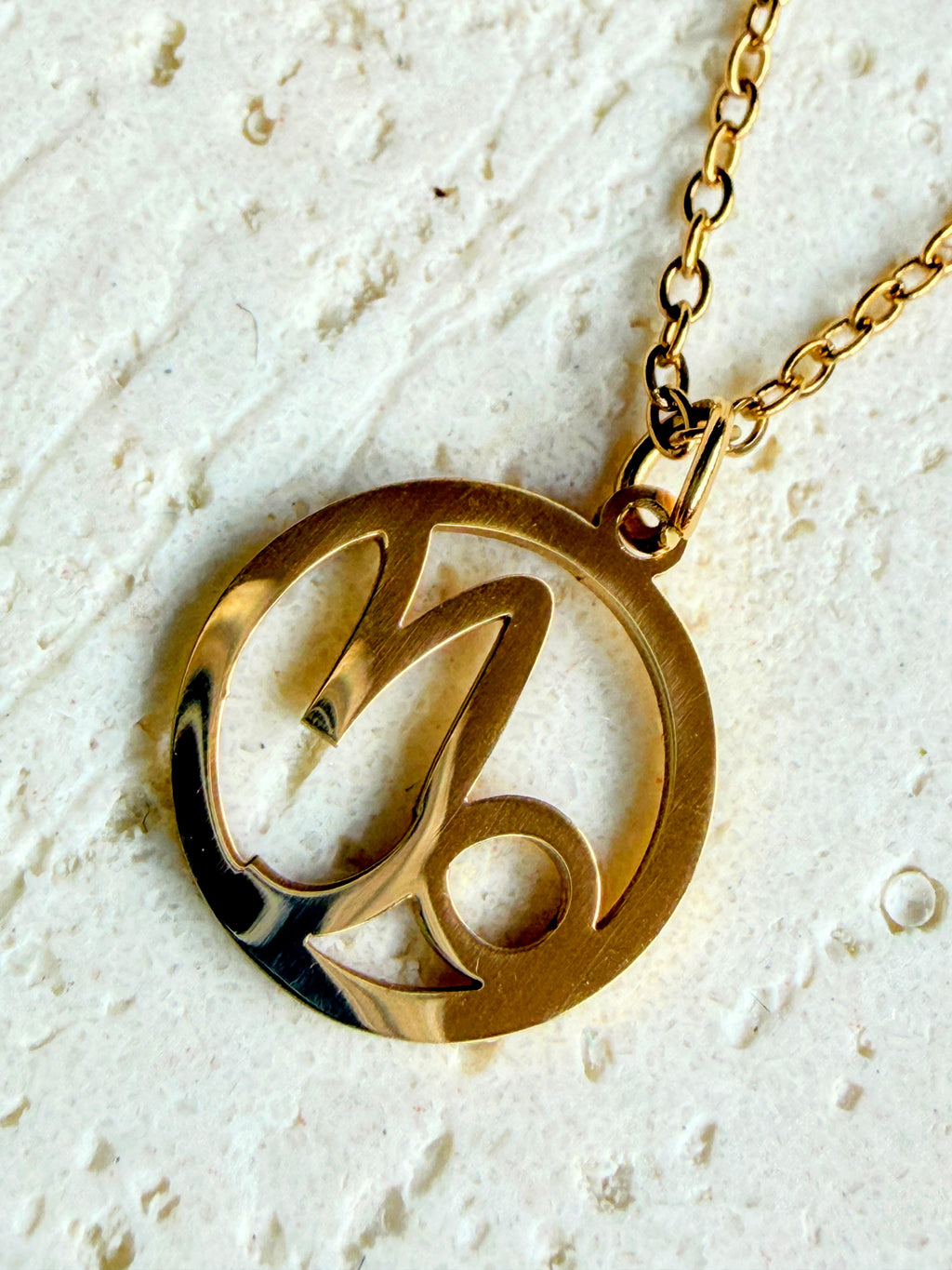 Capricorn Star Sign Necklace