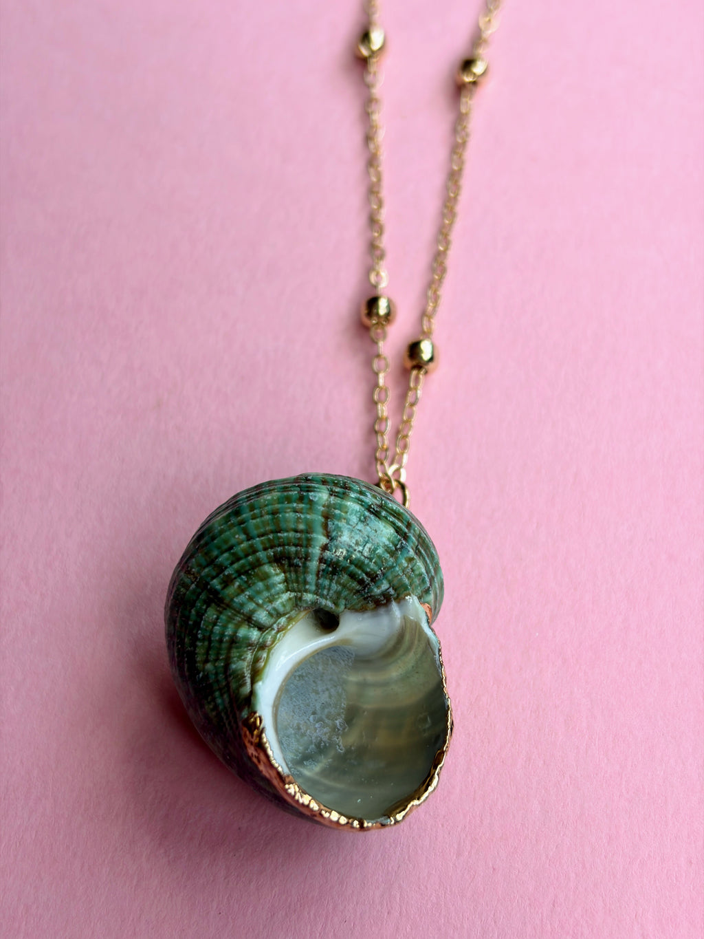 Green Ocean Treasure Seashell Necklace