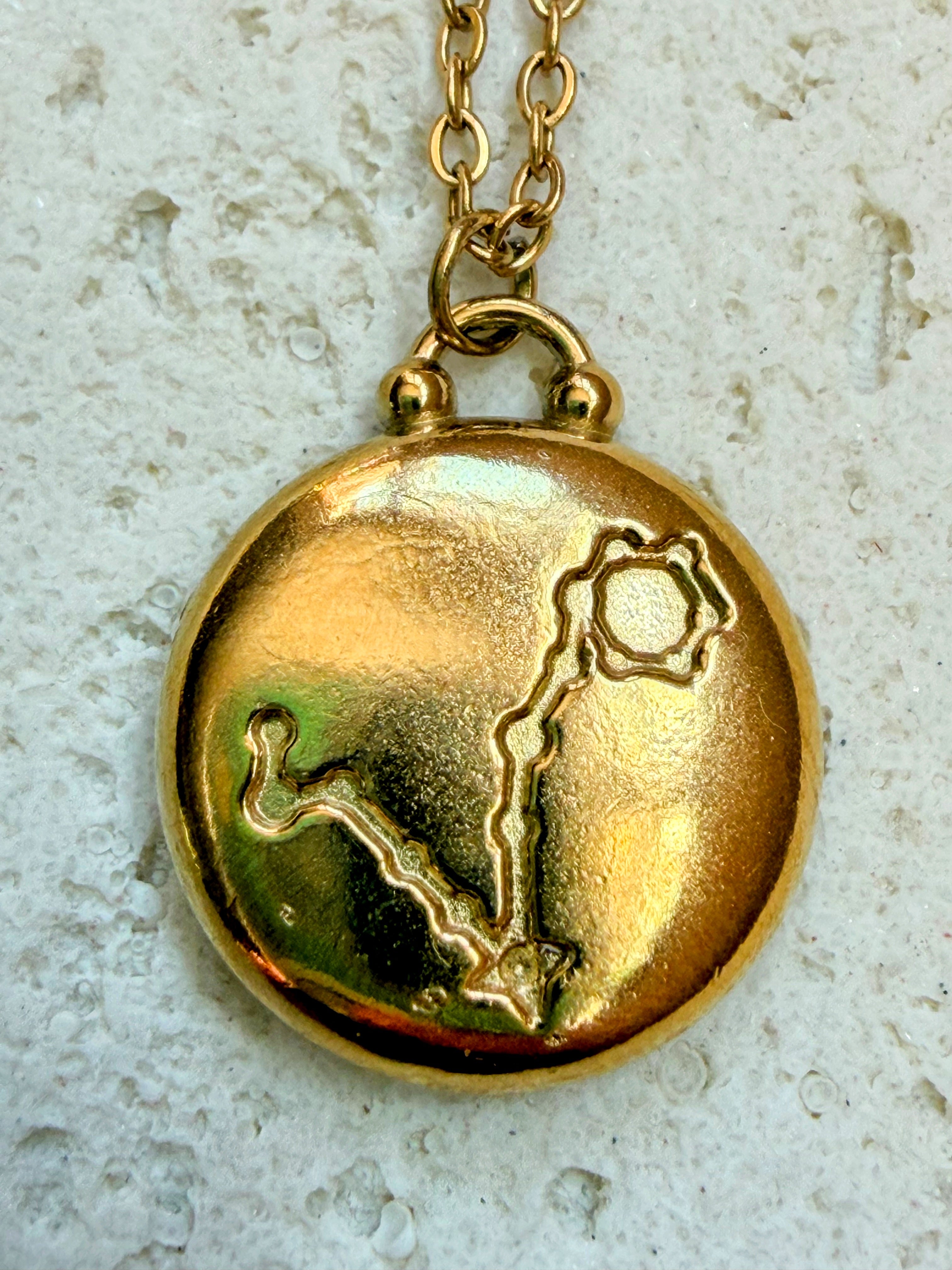 Pisces Gold Plated Necklace
