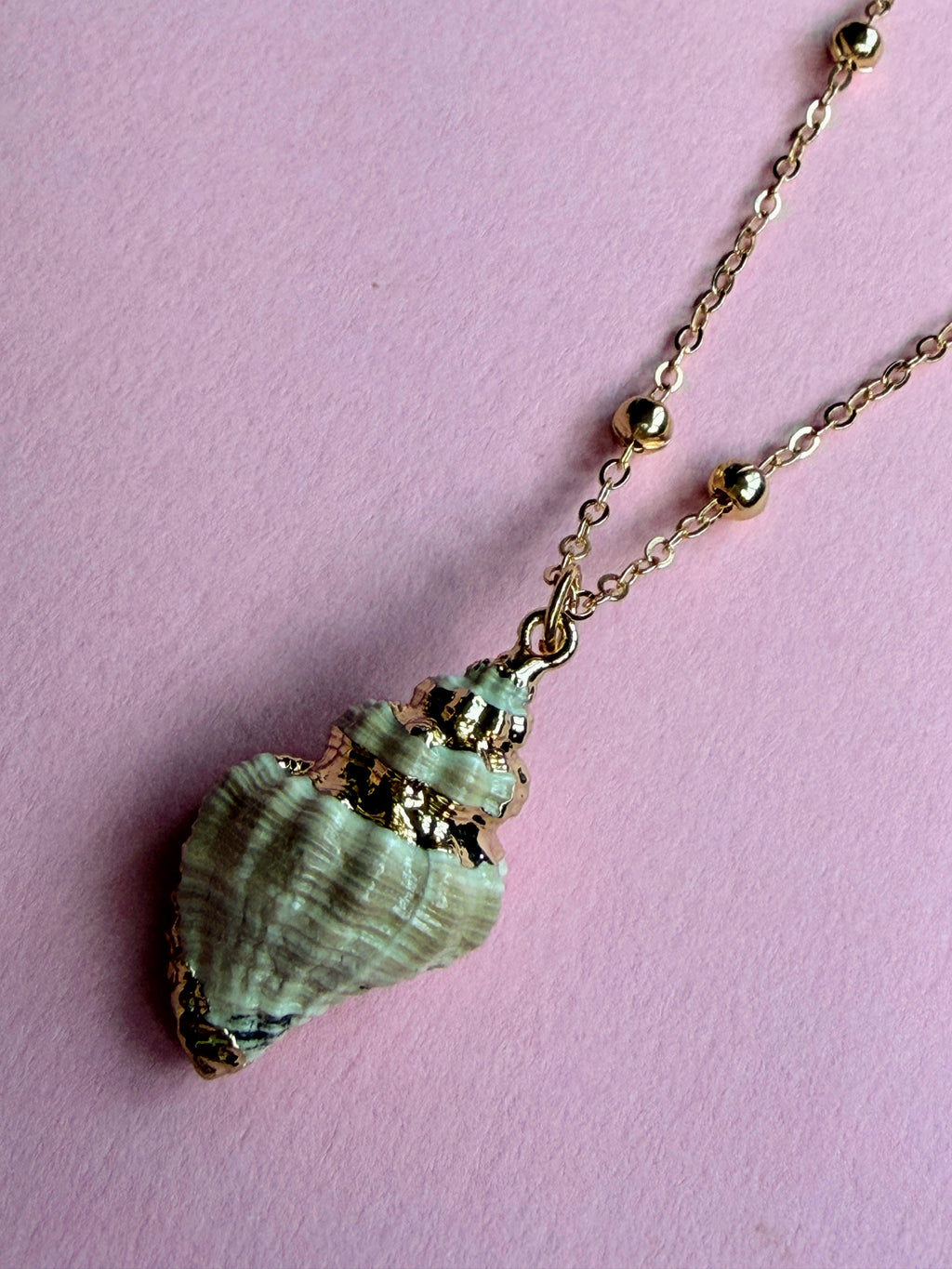 Natural Shell Necklace