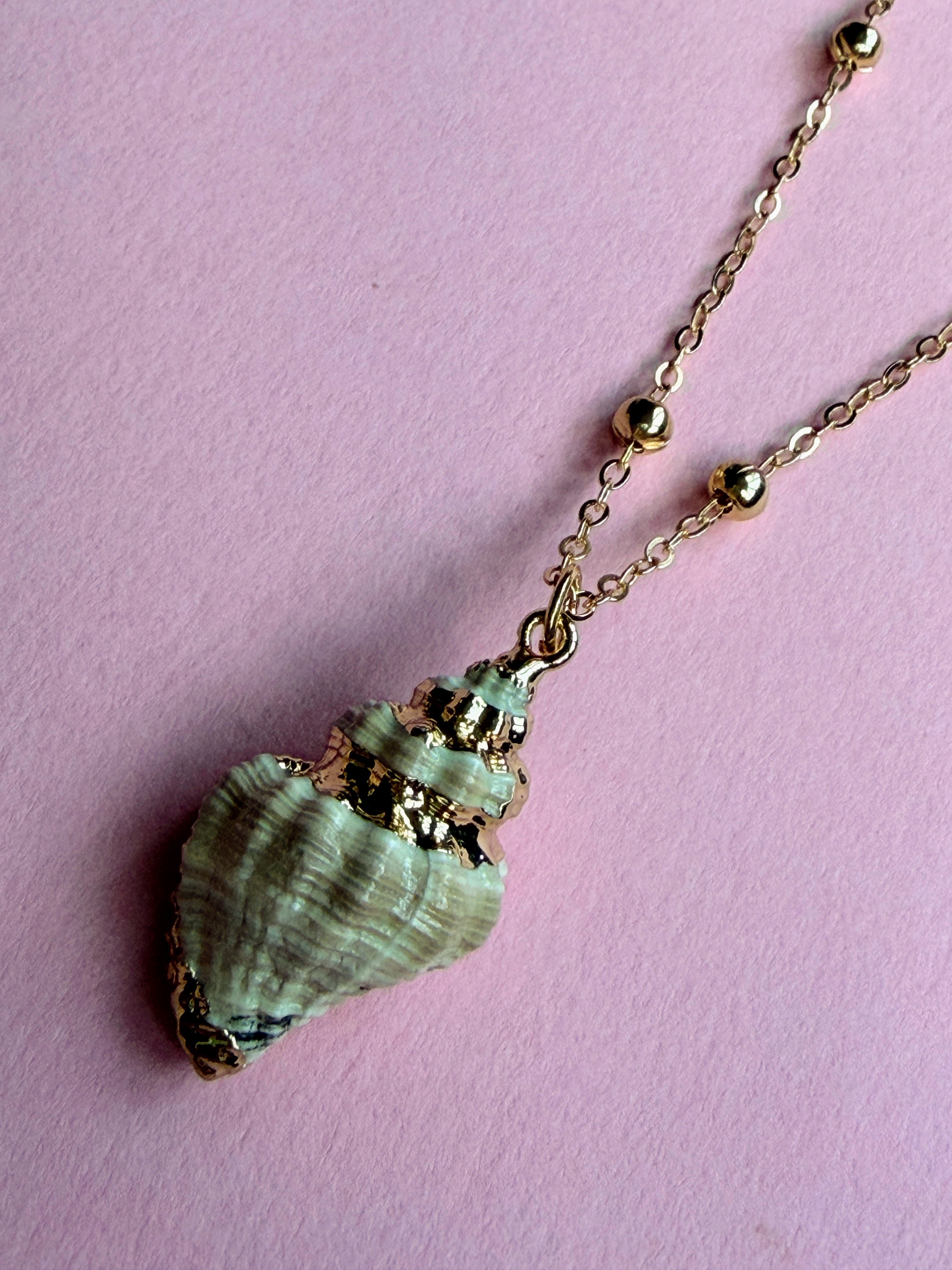 Natural Shell Necklace