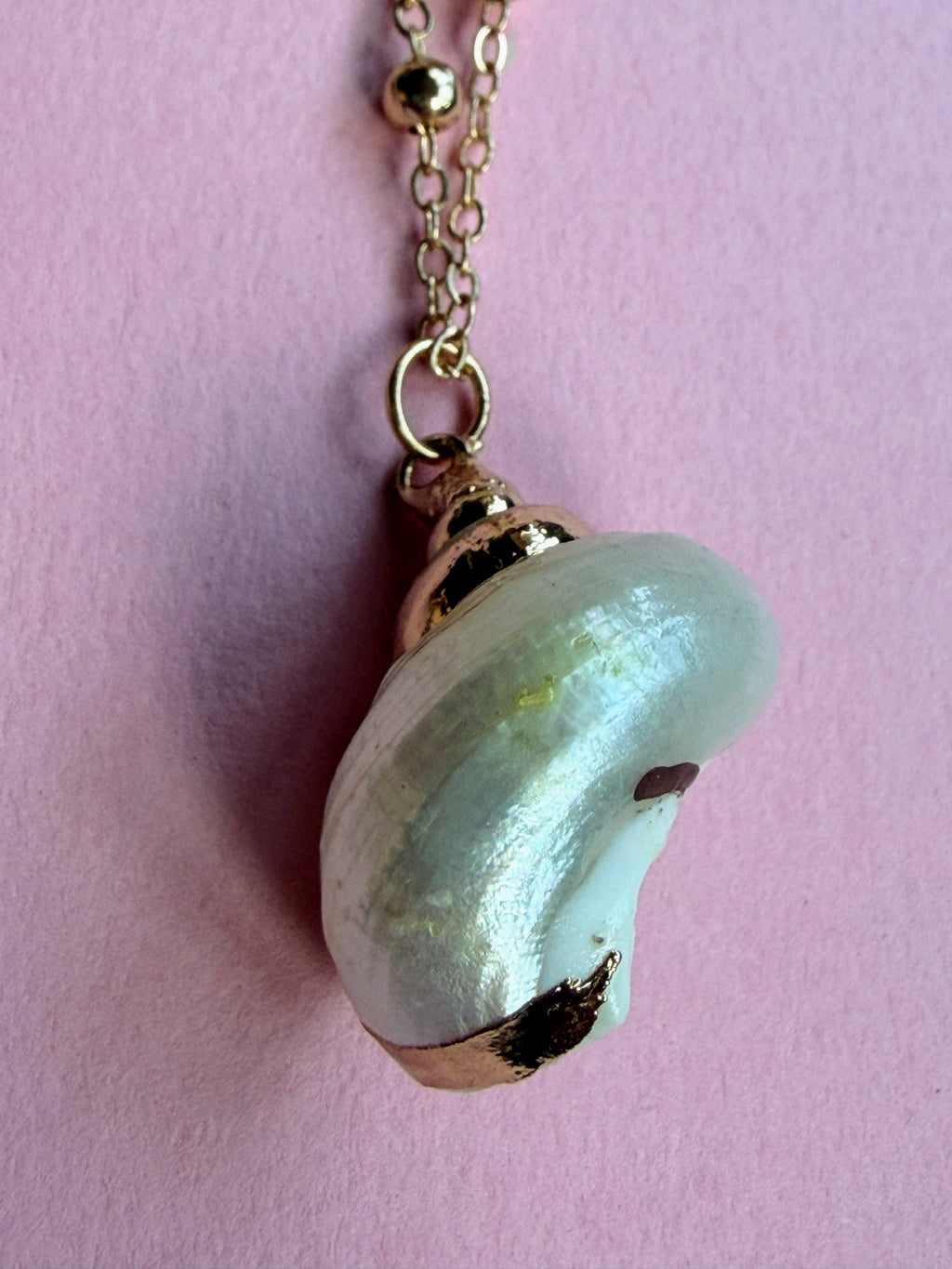 White Natural Seashell Necklace