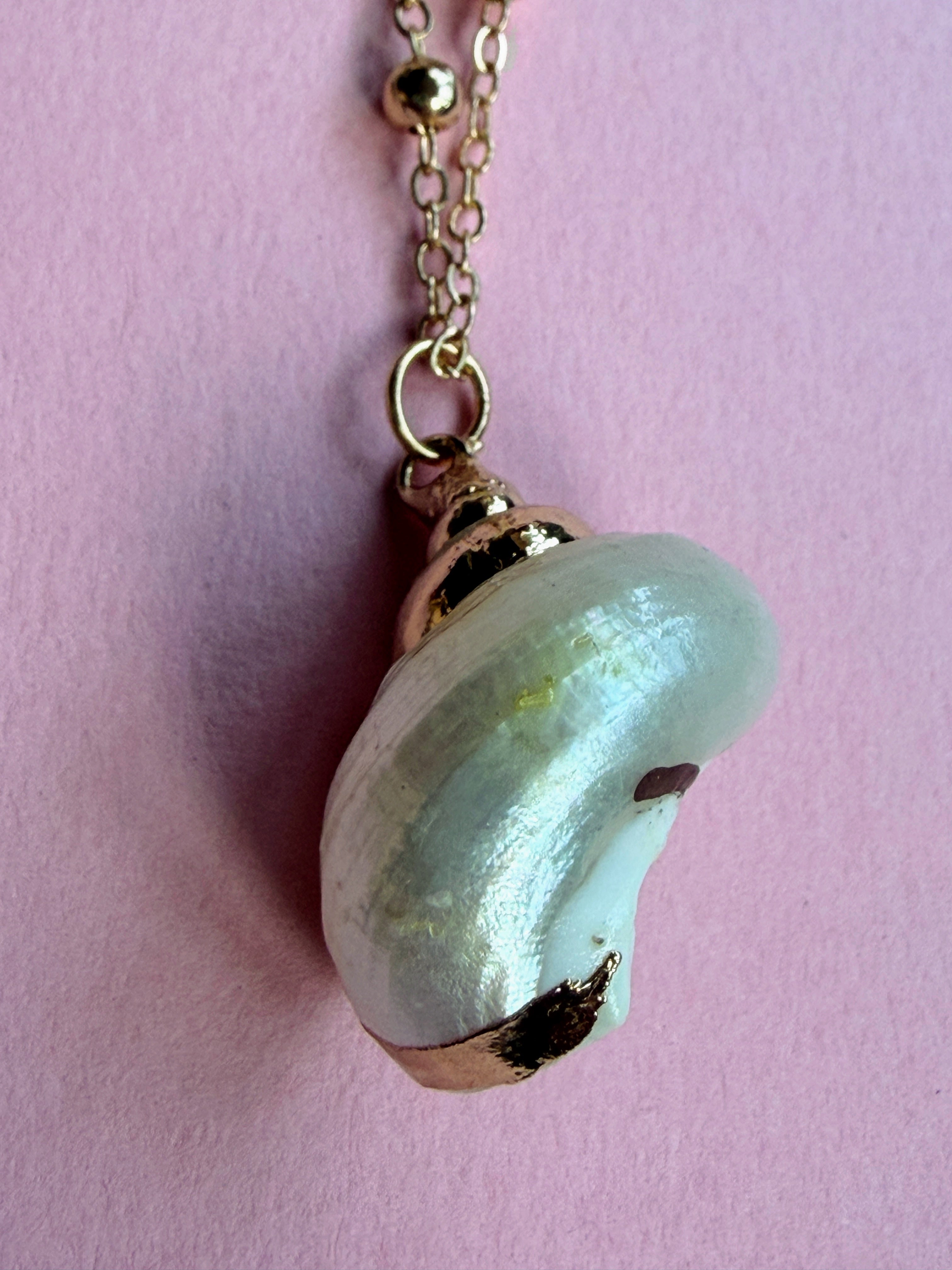 White Natural Seashell Necklace