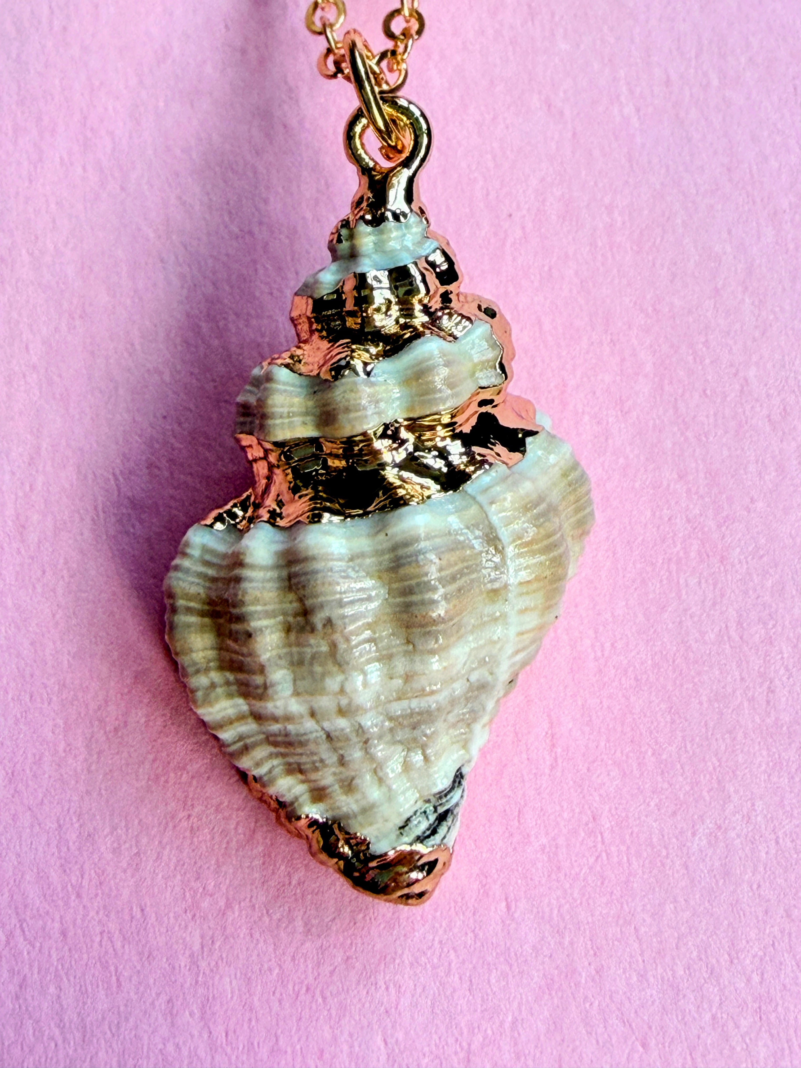Natural Shell Necklace